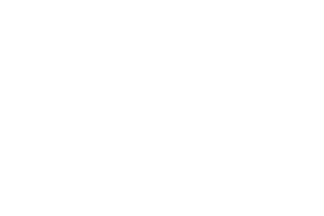 Genio Diligence