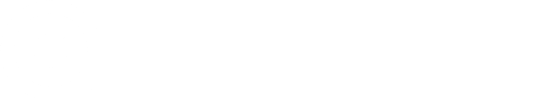Genio Diligence