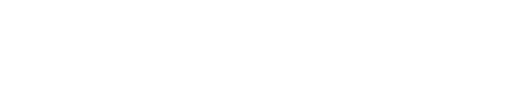 Genio Diligence